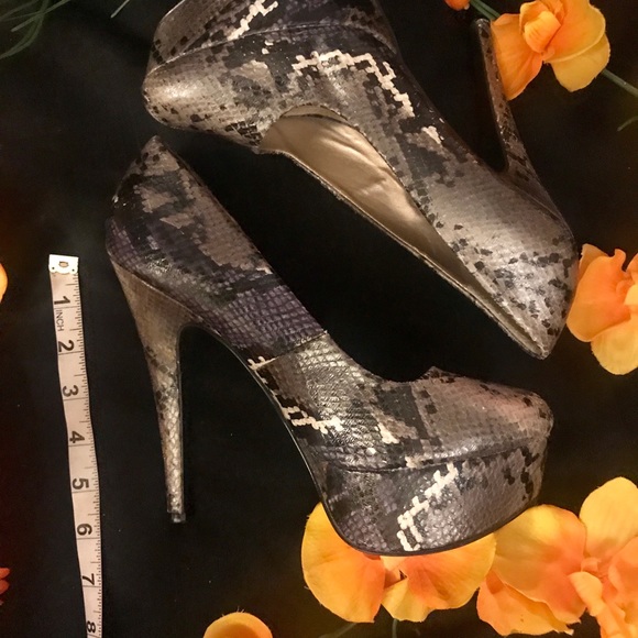 Qupid Platforms - Picture 5 of 5